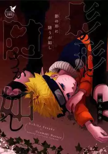 Kage no Katachi ni Shitagau ga gotoshi