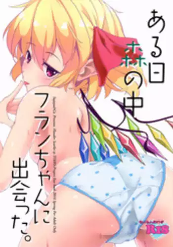 (Reitaisai 13) [Sujoyu & Co. (Sujoyushi)] Aru Hi Mori no Naka Flan-chan ni Deatta. (Touhou Project)