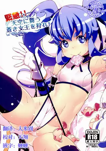 (C86) [LongHornTrain (CyoCyo)] Kinkyuu!! Tenkuu ni Mau Aoki Joou wo Kare! (HappinessCharge Precure!) [Chinese] [光年汉化组]